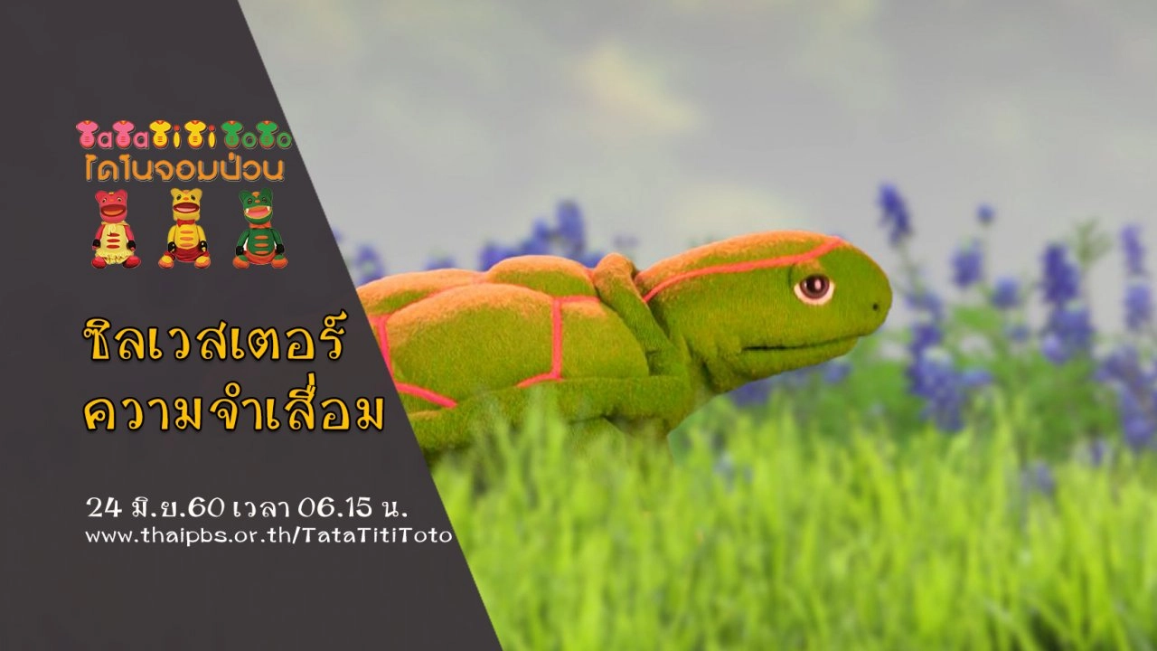 ซิลเวสเตอร์ความจำเสื่อม