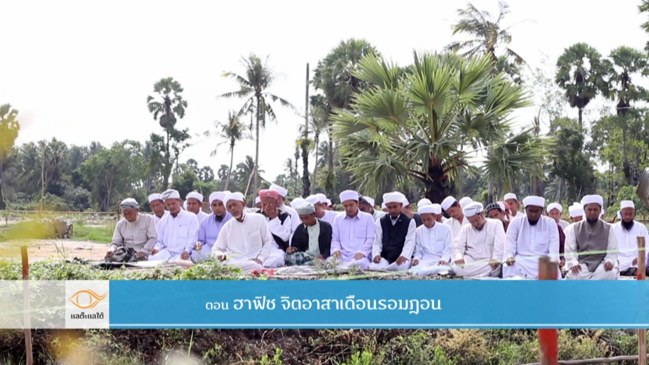 ฮาฟิซจิตอาสา​