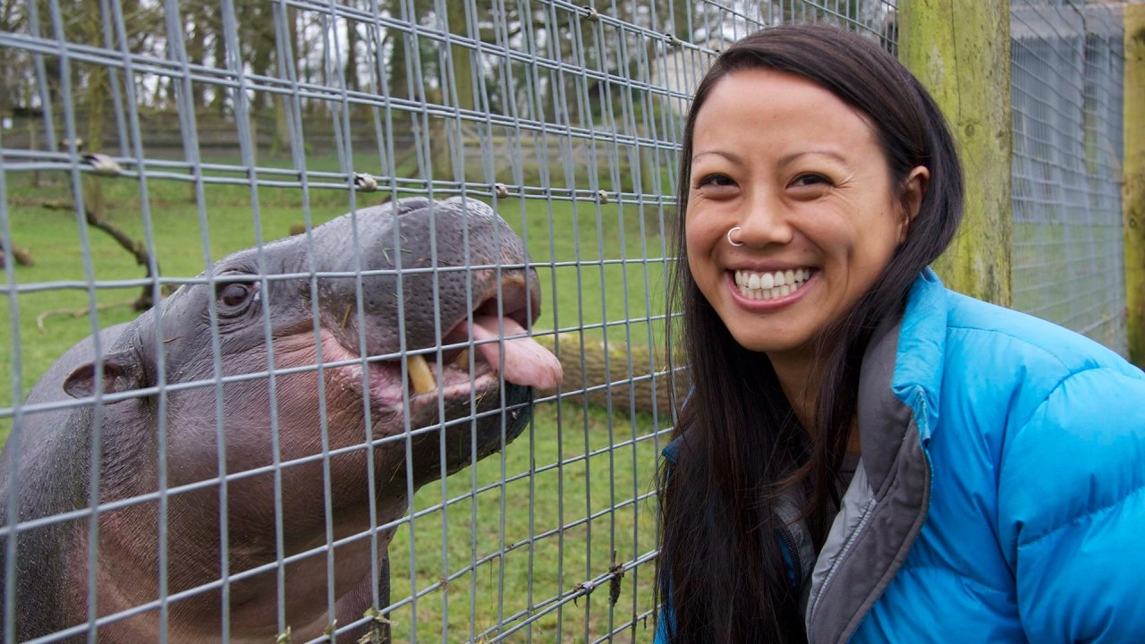 ปฏิบัติการฮิปโปแคระ