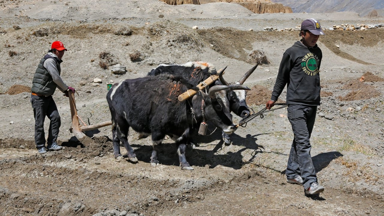 โลก 360 องศา ตอน อาณาจักรมุสตาง