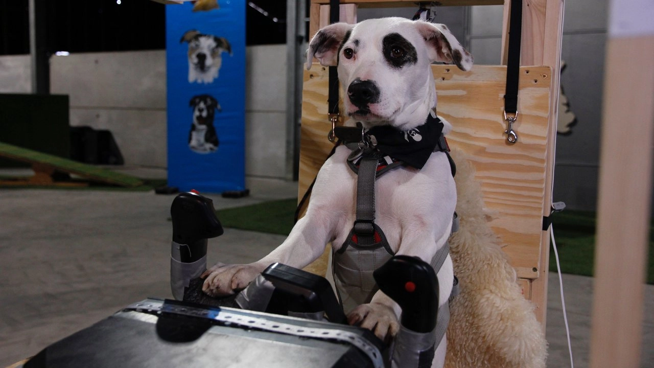 เจ้าตูบยอดนักบิน ตอนที่ 3