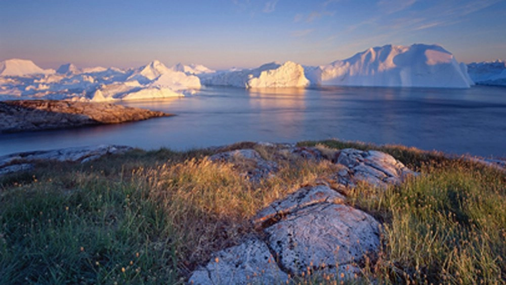 สัตว์ป่าแห่งดินแดนไวกิ้ง