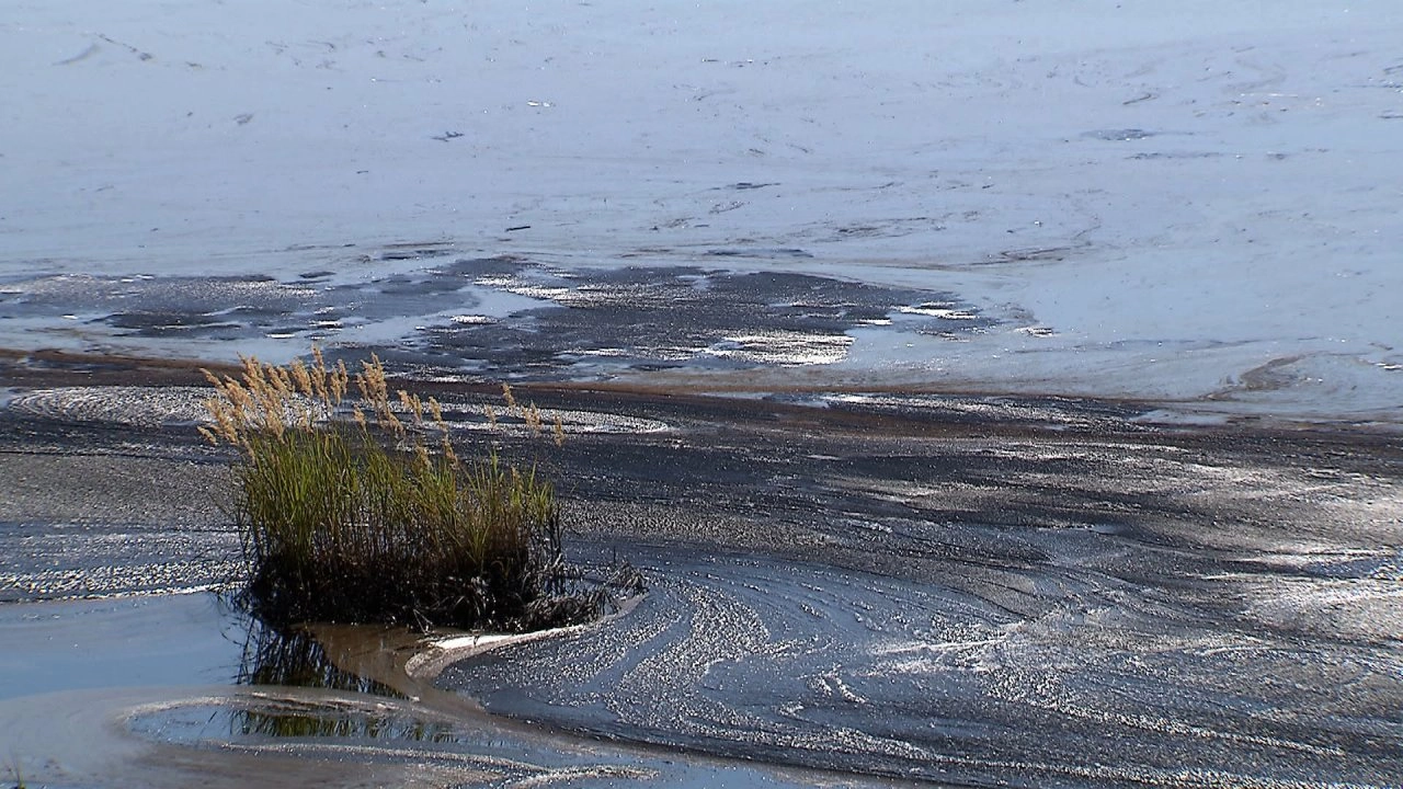 โลก 360 องศา ตอน การตื่นทองสีดำ