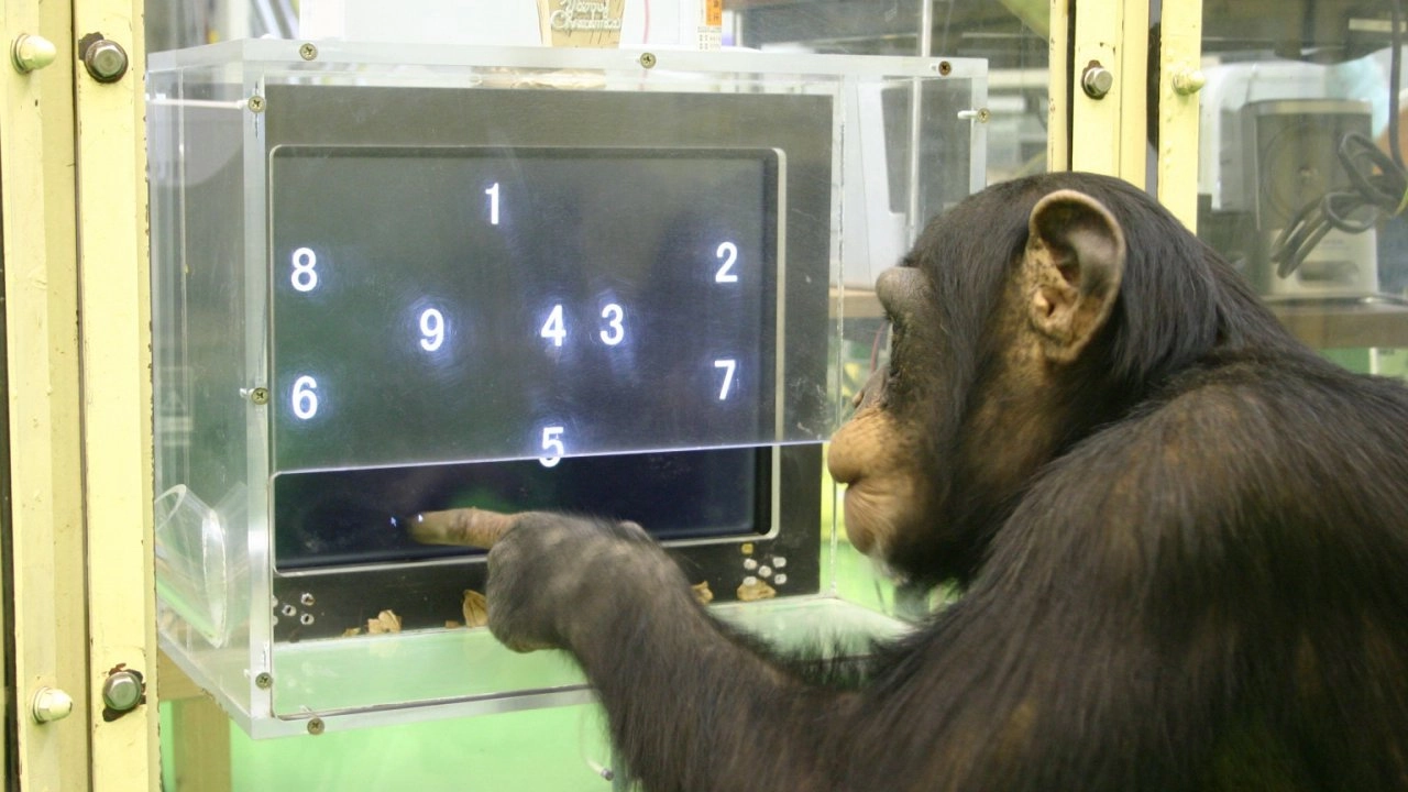 สัตว์ยอดอัจฉริยะ ตอนที่ 1