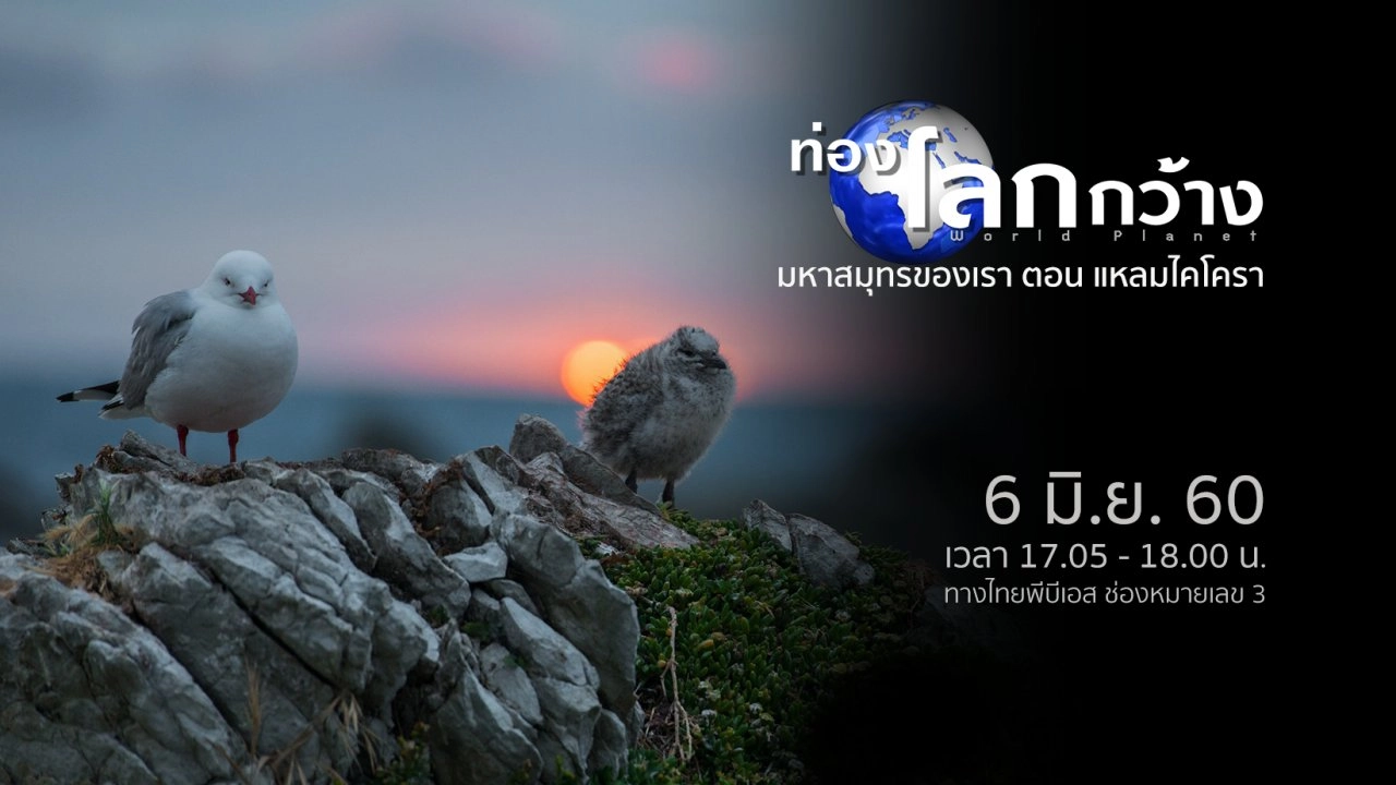 มหาสมุทรของเรา ตอน แหลมไคโครา