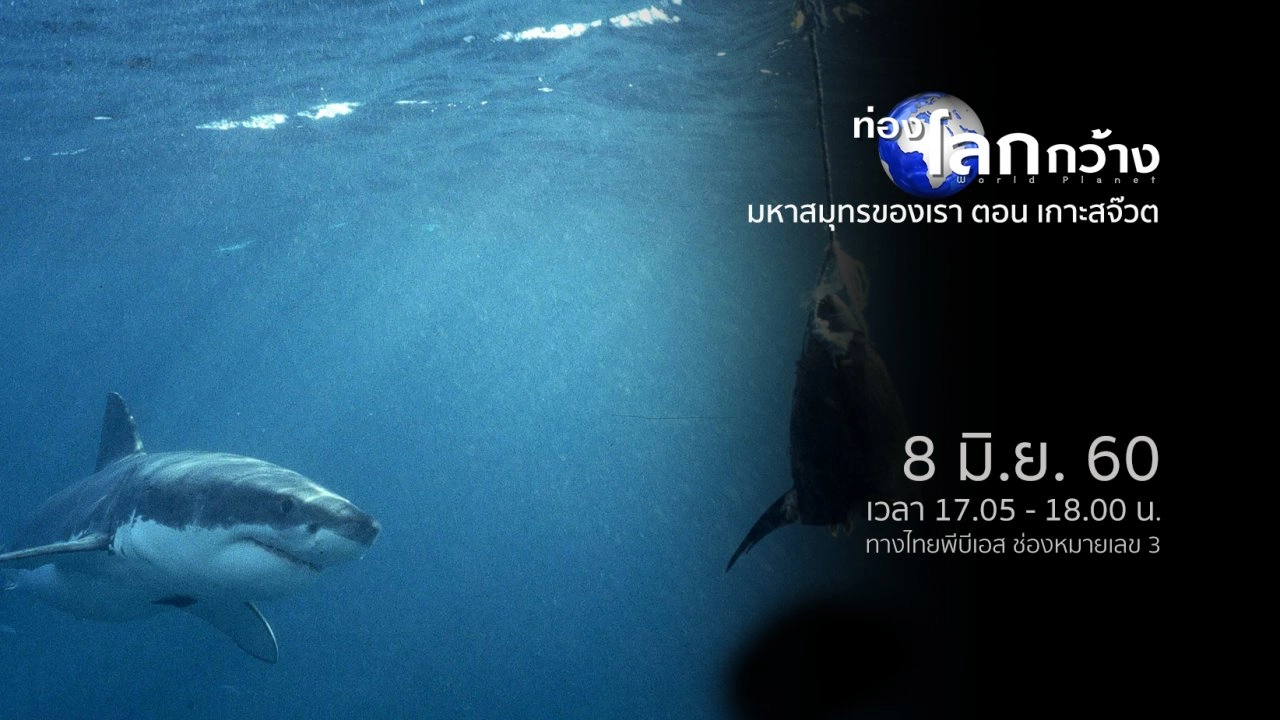 มหาสมุทรของเรา ตอน เกาะสจ๊วต