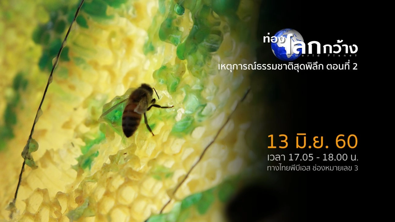 เหตุการณ์ธรรมชาติสุดพิลึก ตอนที่ 2