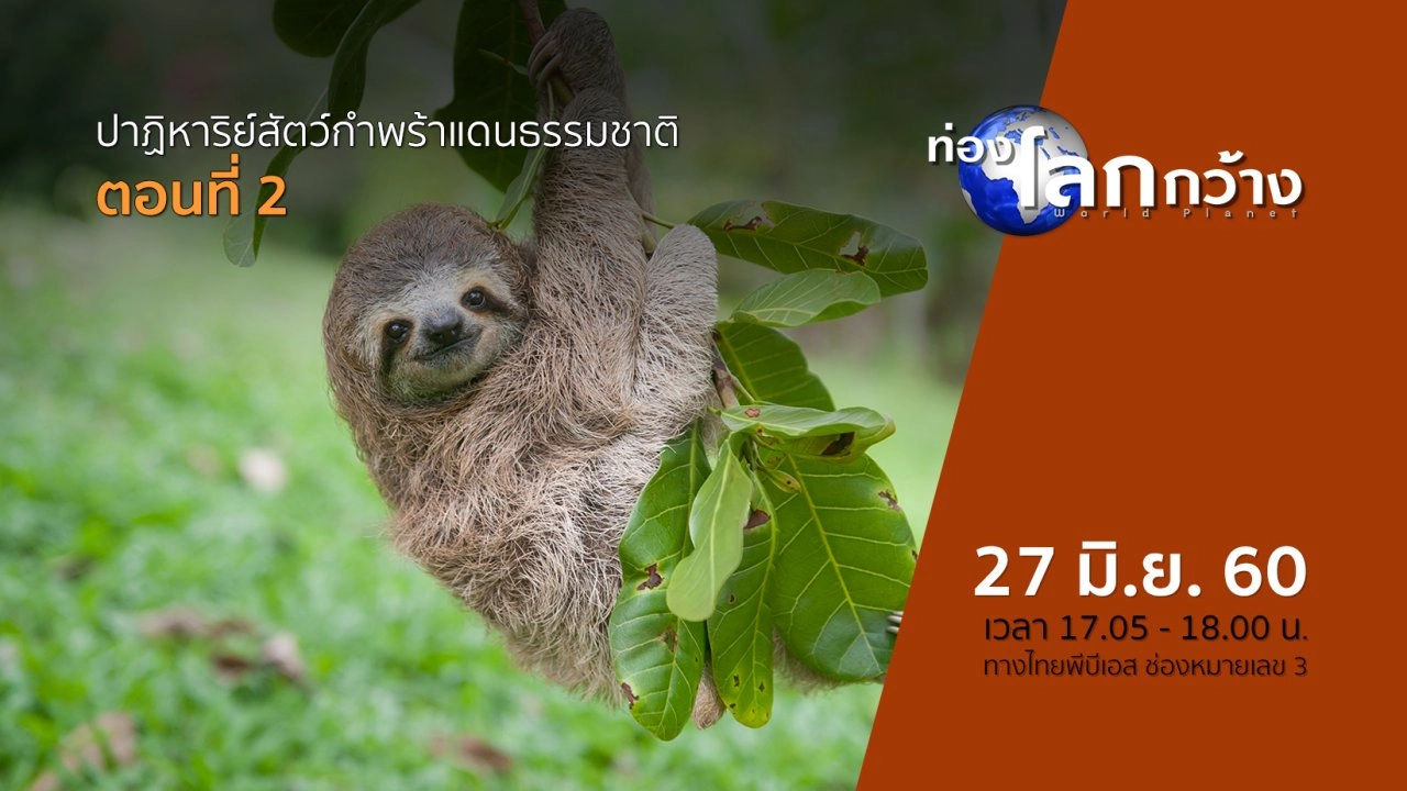 ปาฏิหาริย์สัตว์กำพร้าแดนธรรมชาติ ตอนที่ 2