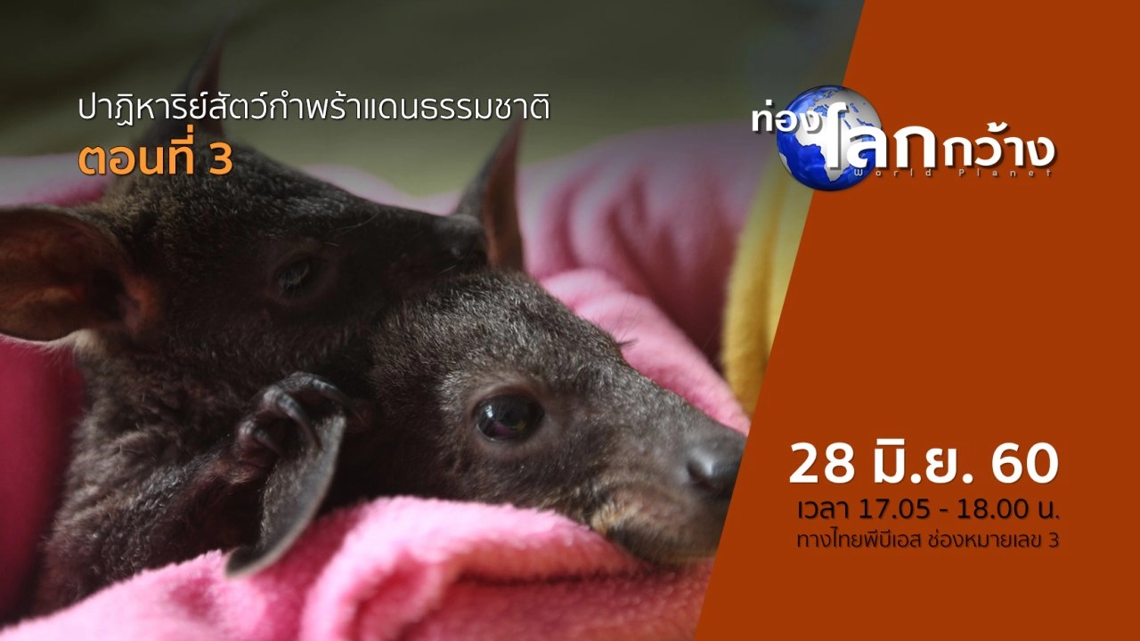 ปาฏิหาริย์สัตว์กำพร้าแดนธรรมชาติ ตอนที่ 3