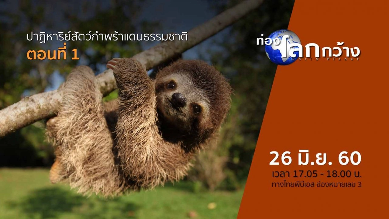 ปาฏิหาริย์สัตว์กำพร้าแดนธรรมชาติ  ตอนที่ 1