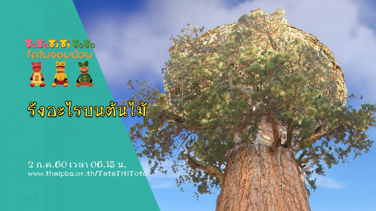 รังอะไรบนต้นไม้