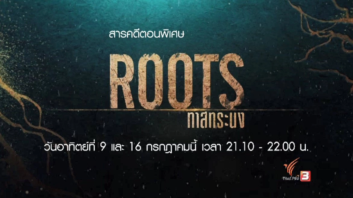 ตอนพิเศษ