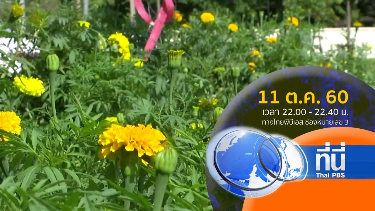 ประเด็นข่าว ( 11 ต.ค. 60)