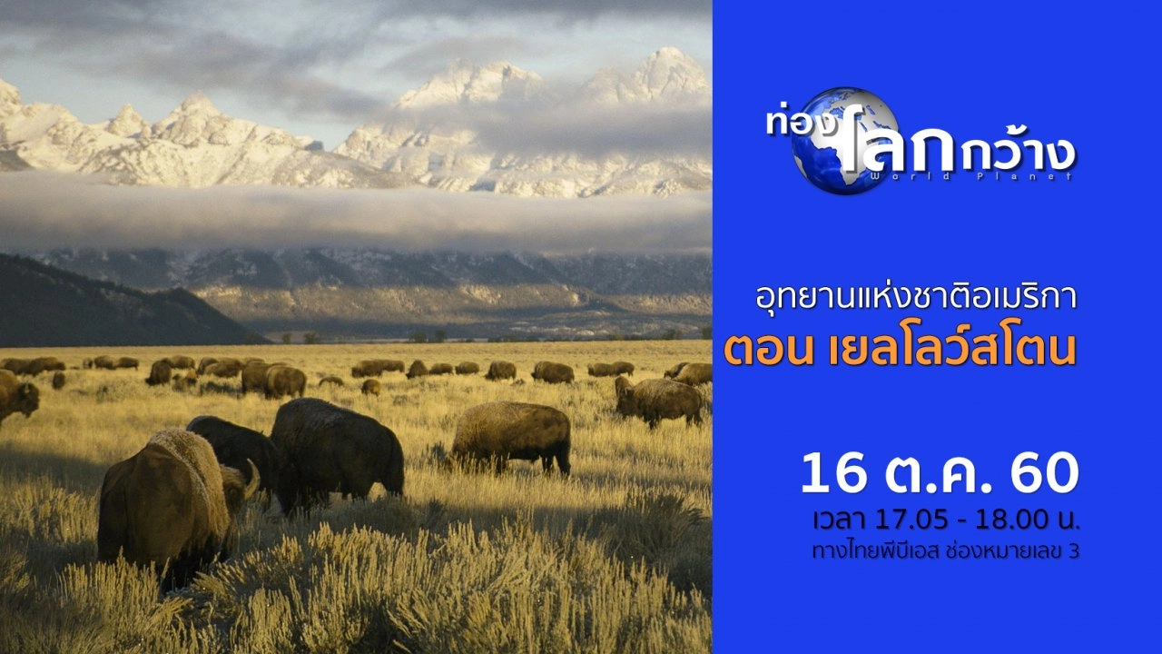 อุทยานแห่งชาติอเมริกา ตอน เยลโลว์สโตน