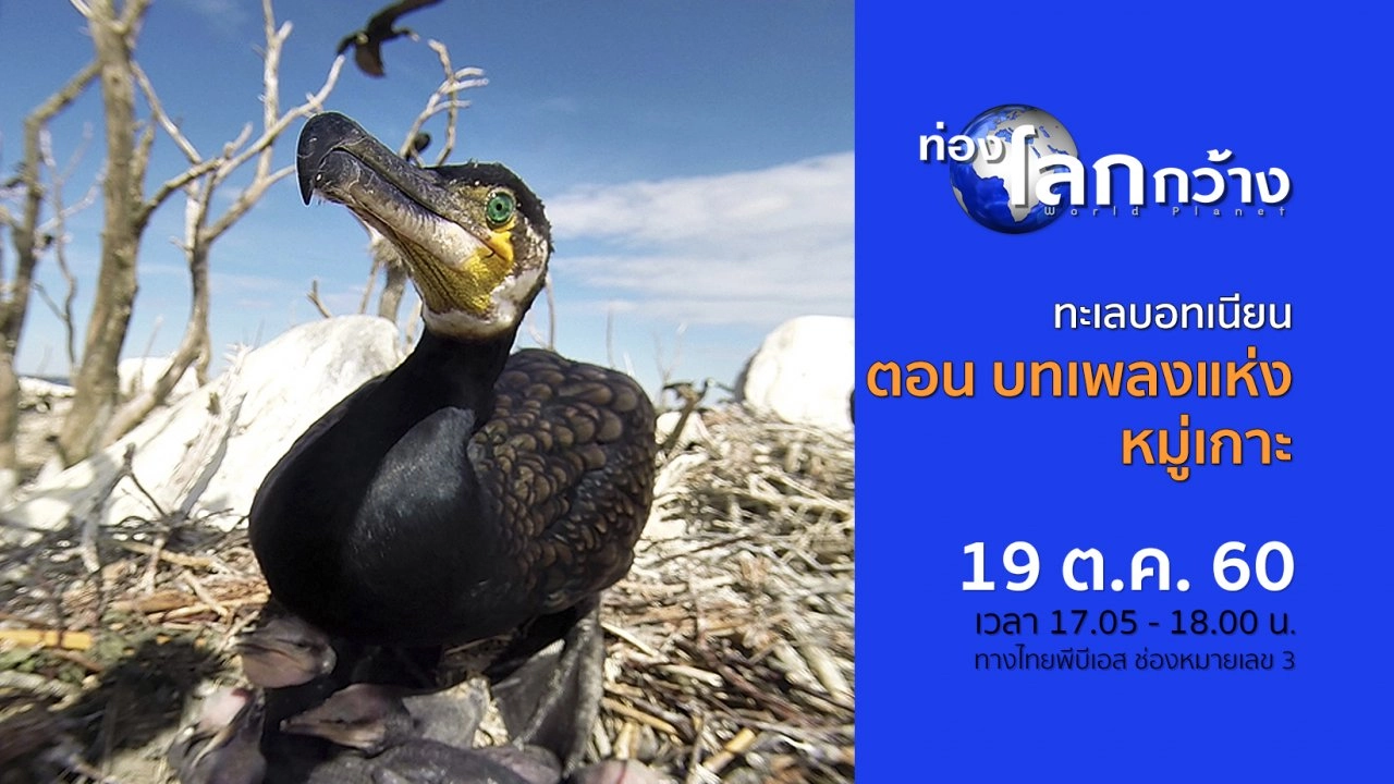 ทะเลบอทเนียน ตอน บทเพลงแห่งหมู่เกาะ