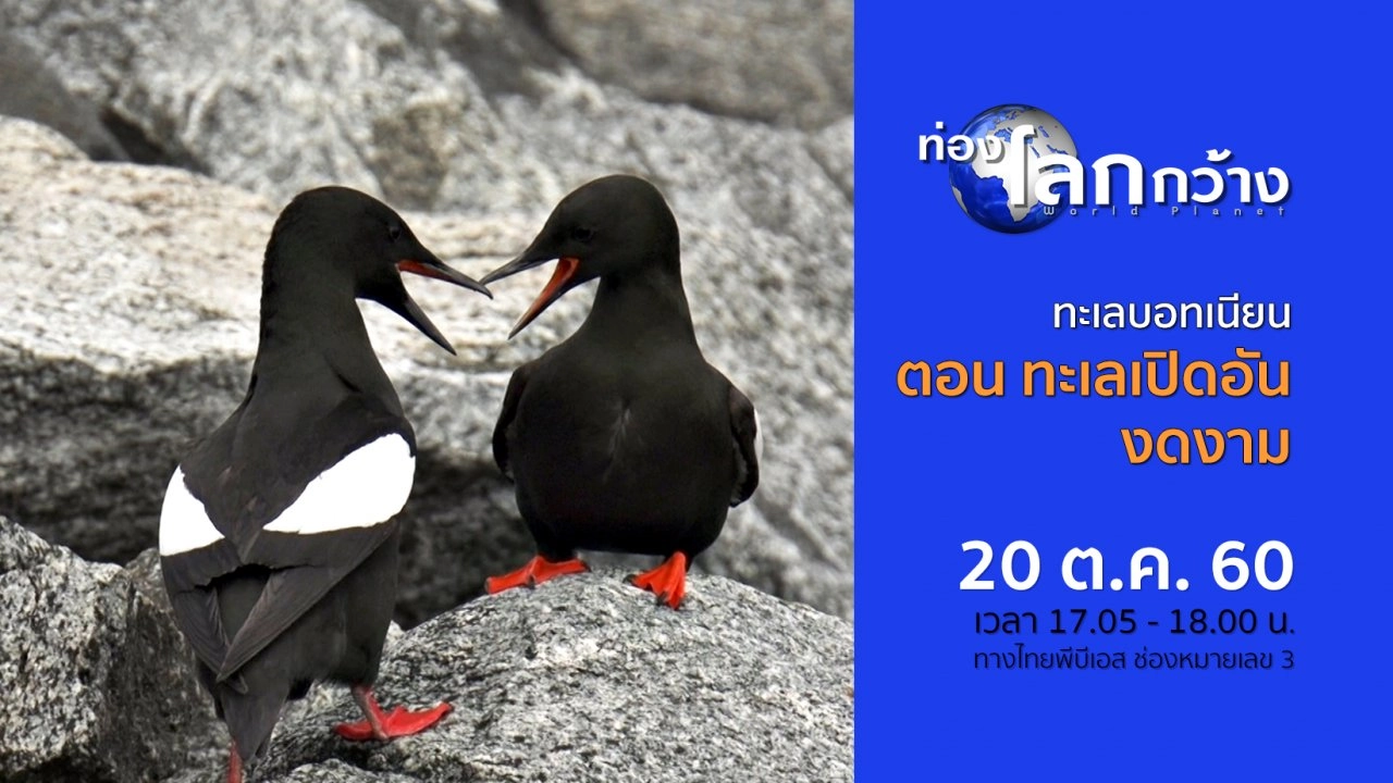 ทะเลบอทเนียน ตอน ทะเลเปิดอันงดงาม