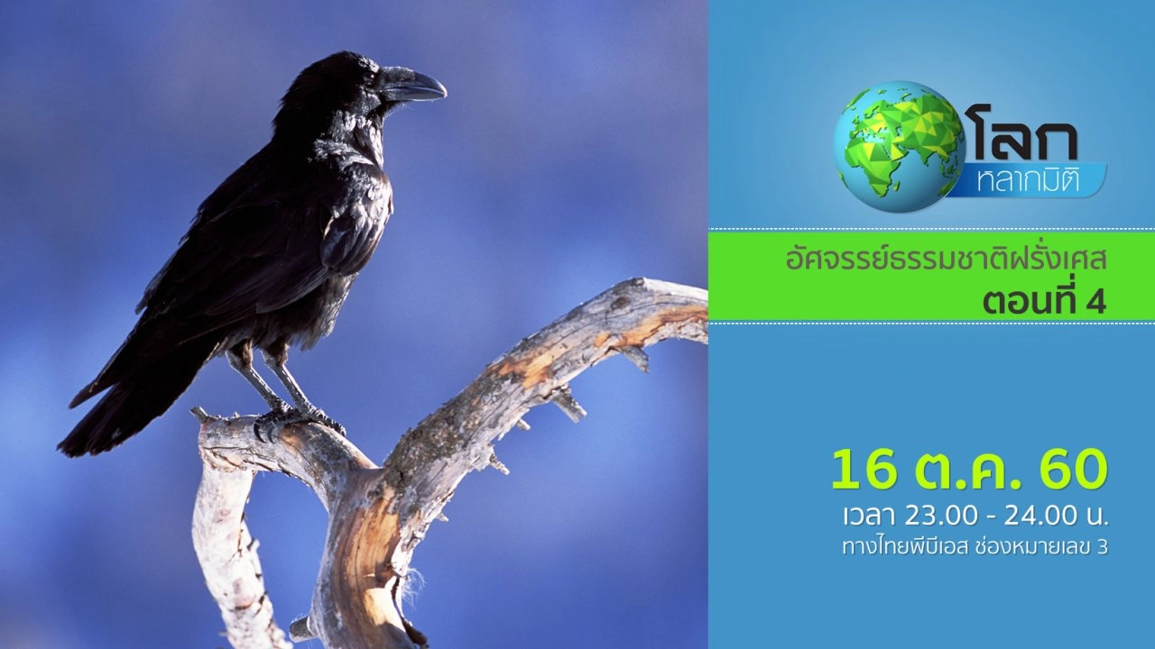 อัศจรรย์ธรรมชาติฝรั่งเศส ตอนที่ 4