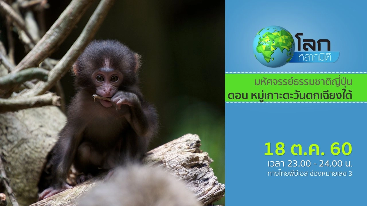 มหัศจรรย์ธรรมชาติญี่ปุ่น ตอน หมู่เกาะตะวันตกเฉียงใต้