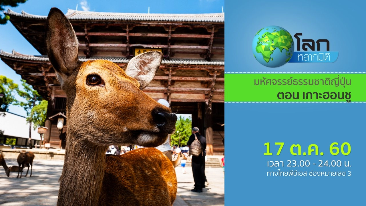 มหัศจรรย์ธรรมชาติญี่ปุ่น ตอน เกาะฮอนชู