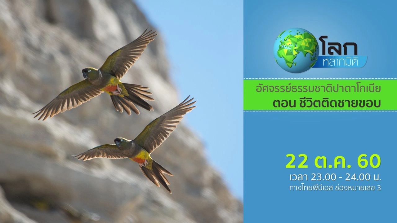 อัศจรรย์ธรรมชาติปาตาโกเนีย ตอน ชีวิตติดชายขอบ