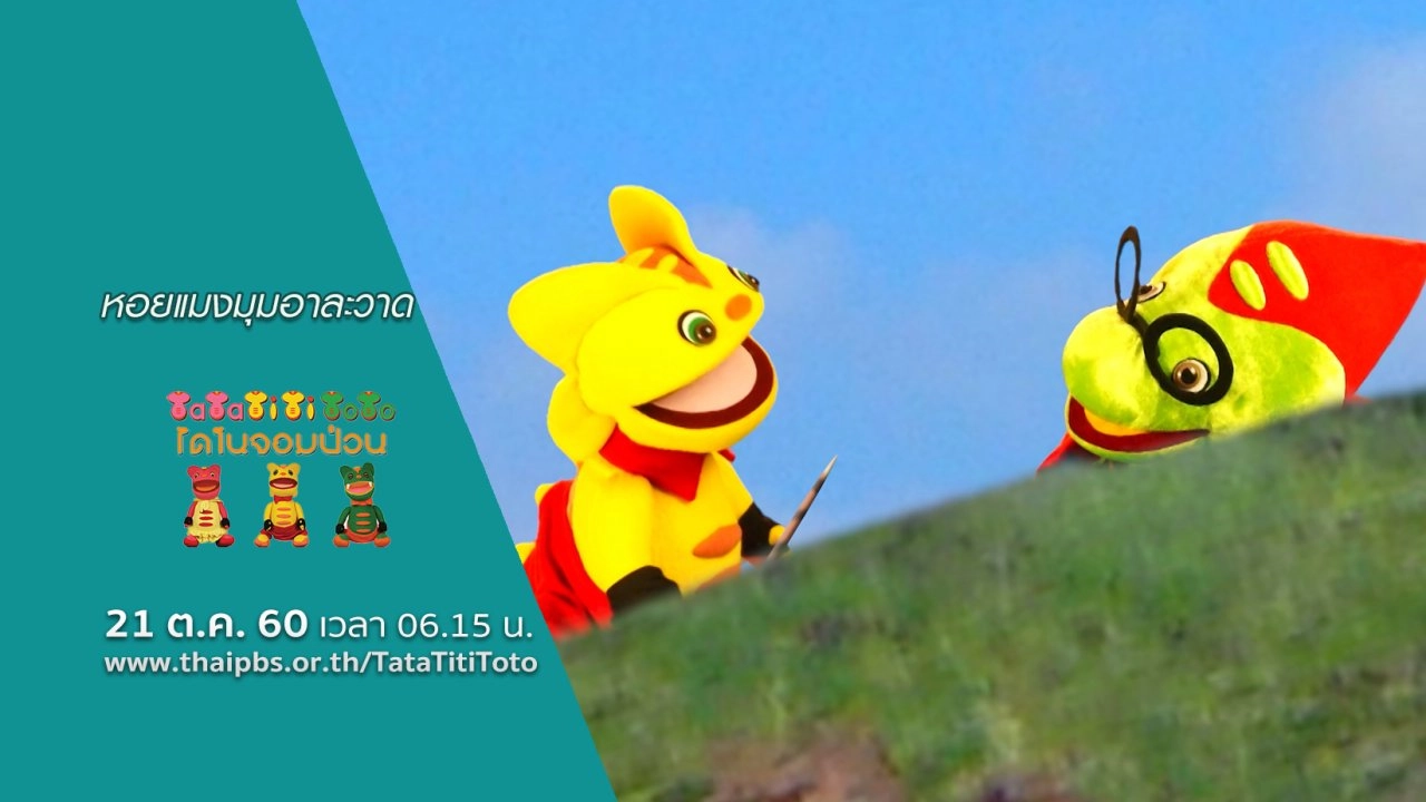 หอยแมงมุมอาละวาด