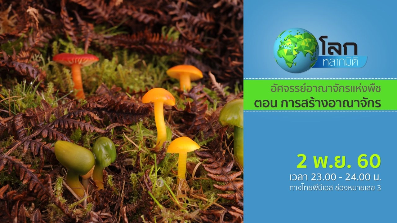 อัศจรรย์อาณาจักรแห่งพืช ตอน การสร้างอาณาจักร