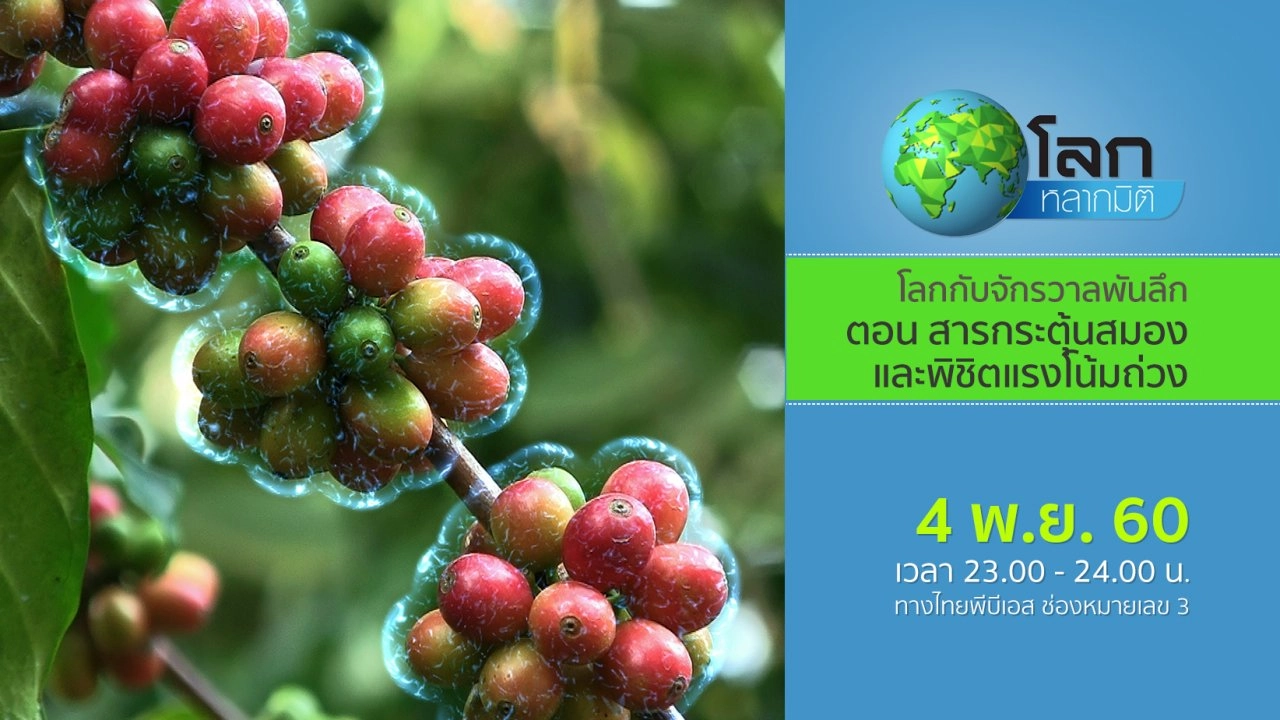 โลกกับจักรวาลพันลึก ตอน สารกระตุ้นสมอง และพิชิตแรงโน้มถ่วง