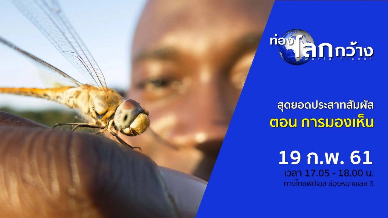 สุดยอดประสาทสัมผัส ตอน การมองเห็น