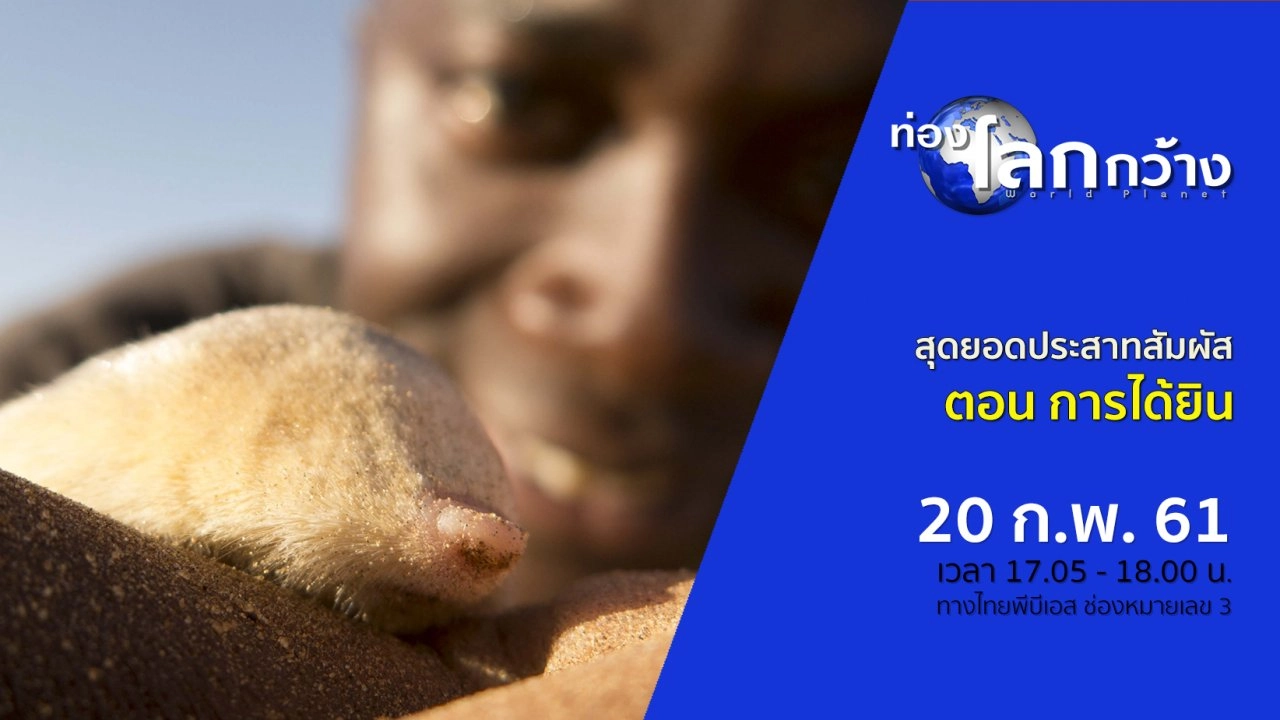 สุดยอดประสาทสัมผัส ตอน การได้ยิน