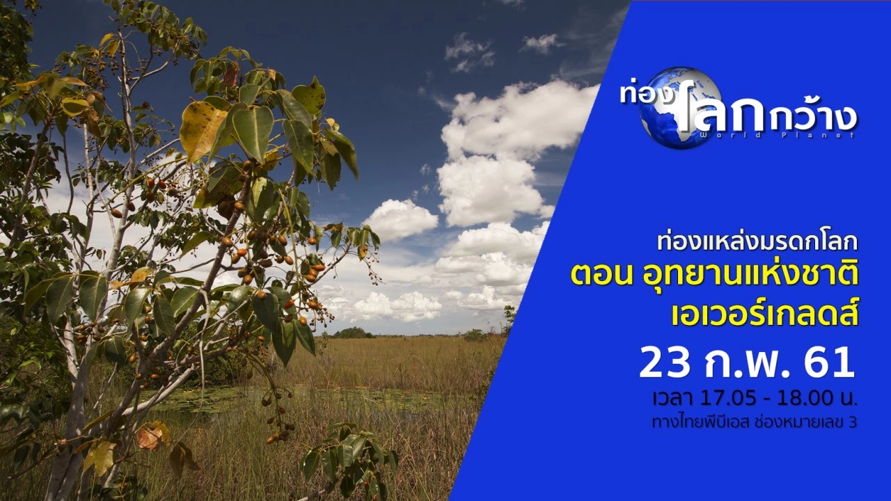 ท่องแหล่งมรดกโลก ตอน อุทยานแห่งชาติเอเวอร์เกลดส์