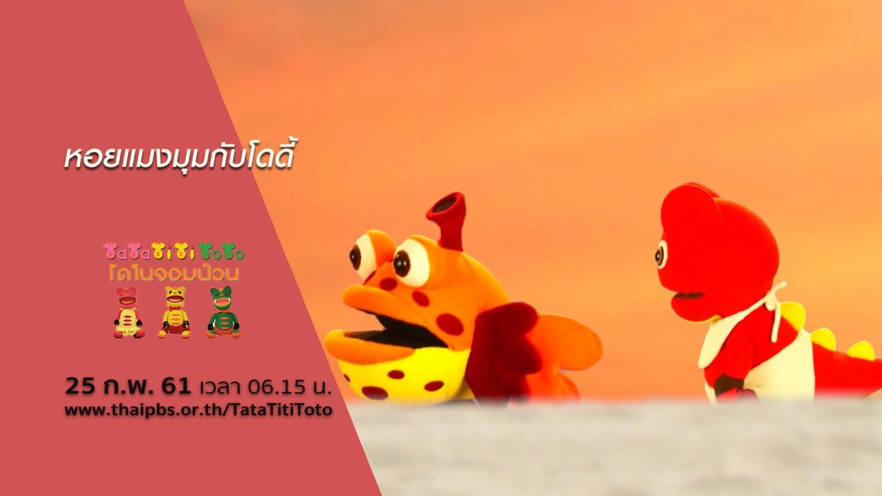 หอยแมงมุมกับโดดี้