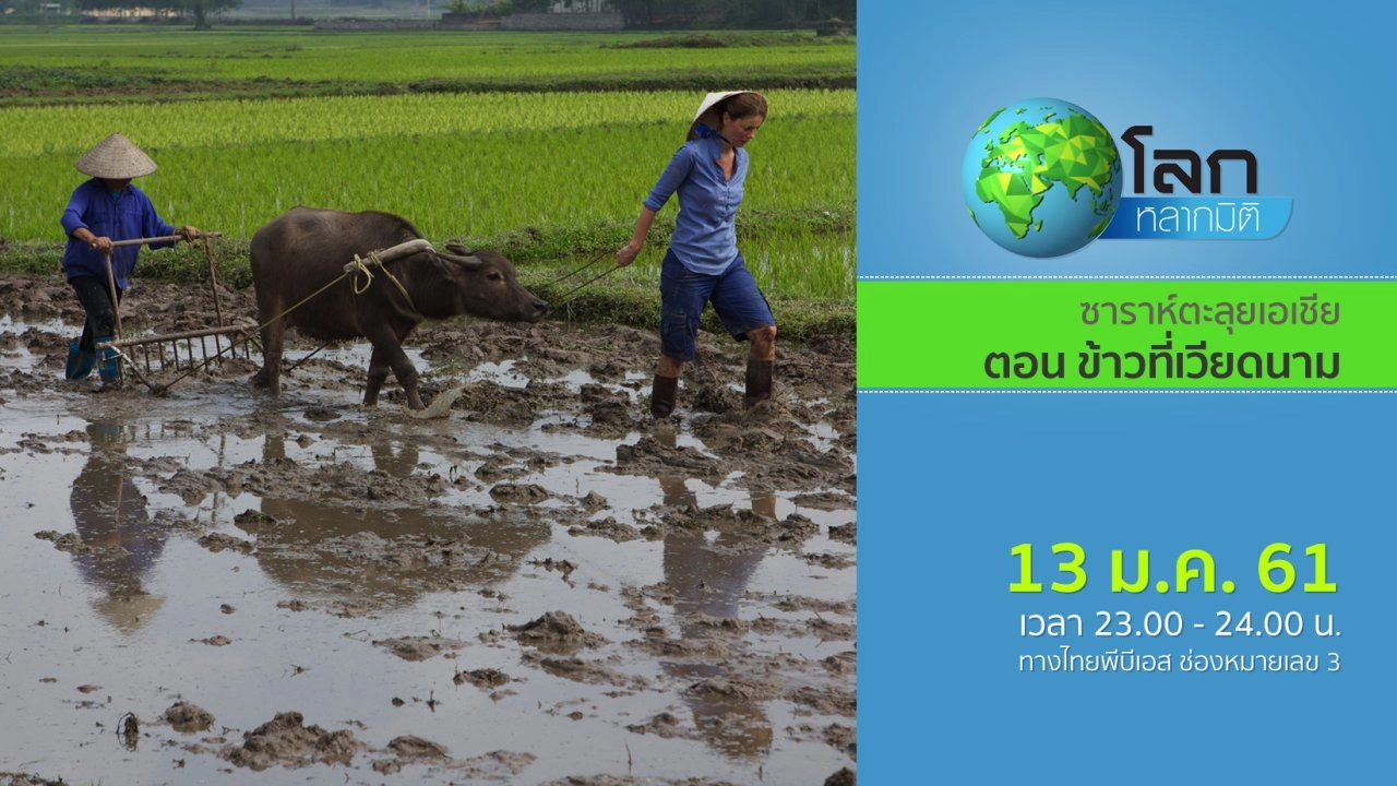 ซาราห์ตะลุยเอเชีย ตอน ข้าวที่เวียดนาม