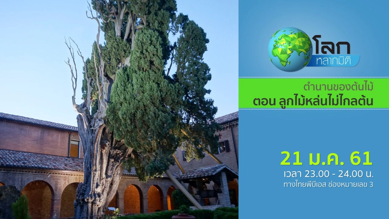 ตำนานของต้นไม้ ตอน ลูกไม้หล่นไม่ไกลต้น