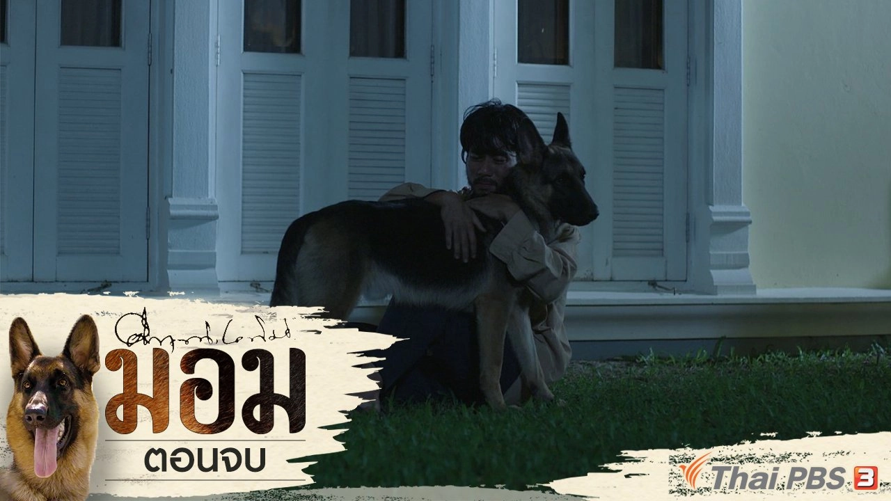 ตอนจบ