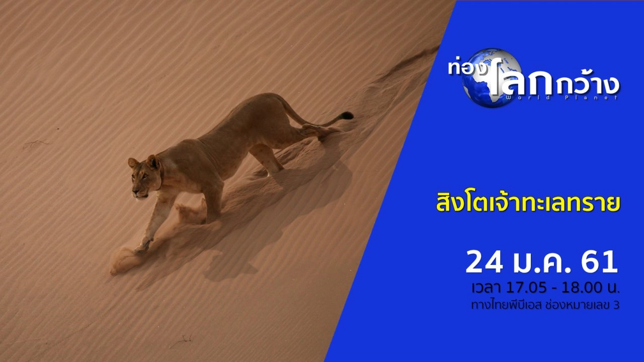 สิงโตเจ้าทะเลทราย