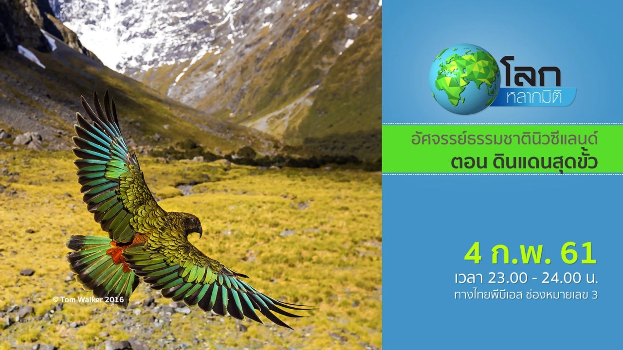 อัศจรรย์ธรรมชาตินิวซีแลนด์ ตอน ดินแดนสุดขั้ว