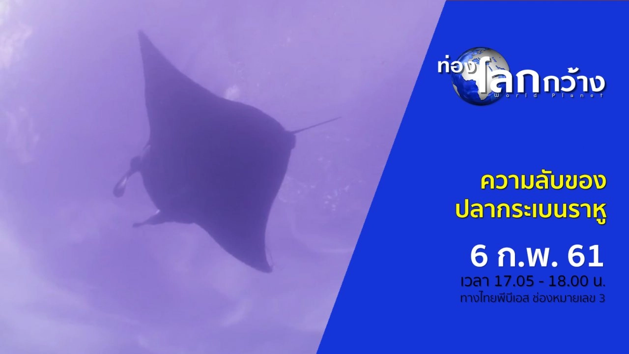 ความลับของปลากระเบนราหู