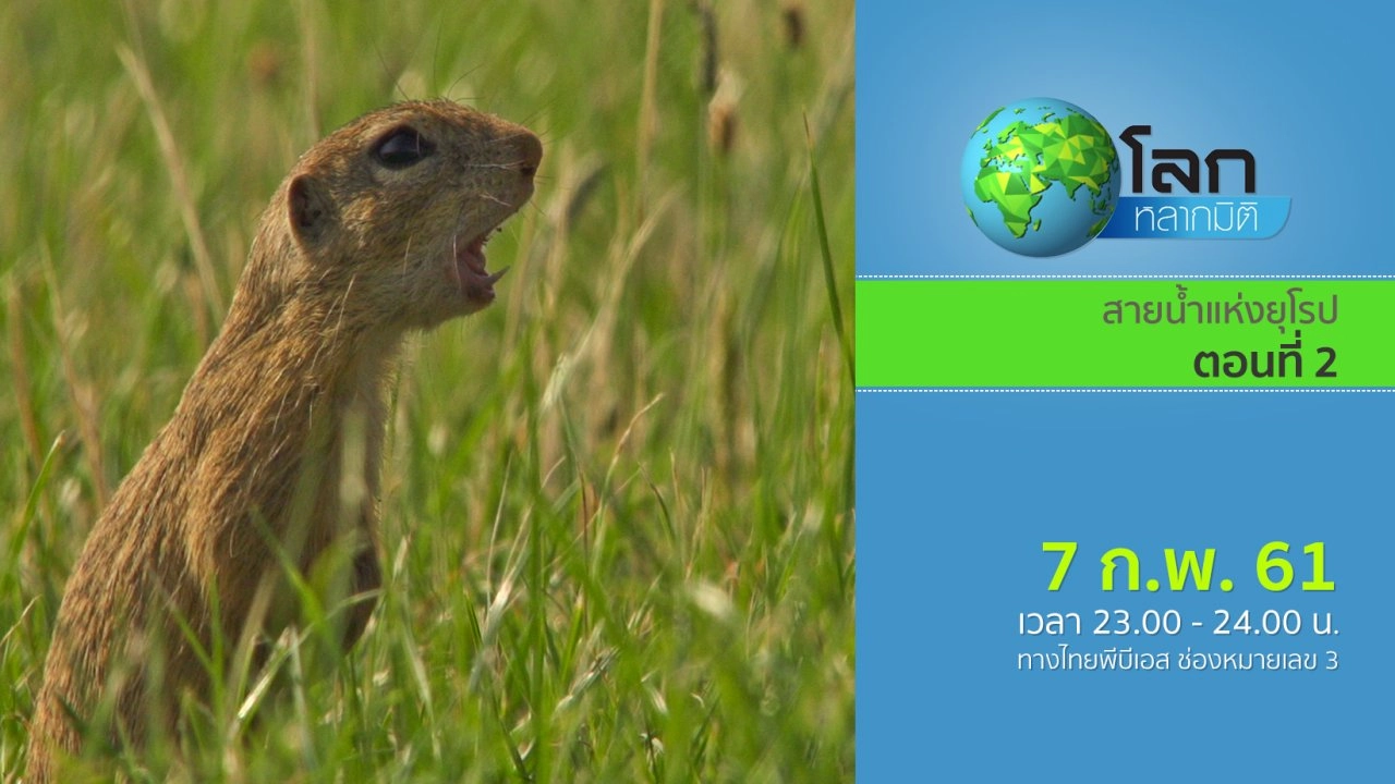 สายน้ำแห่งยุโรป ตอนที่ 2