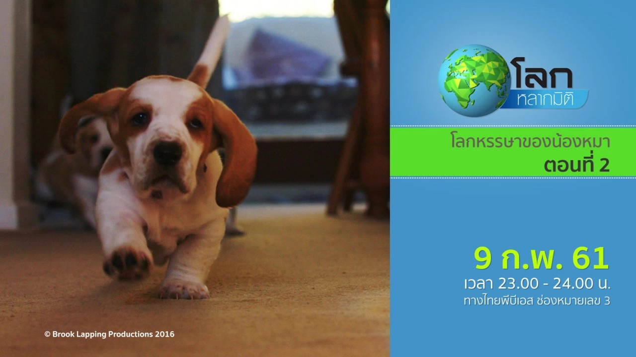 โลกหรรษาของน้องหมา ตอนที่ 2
