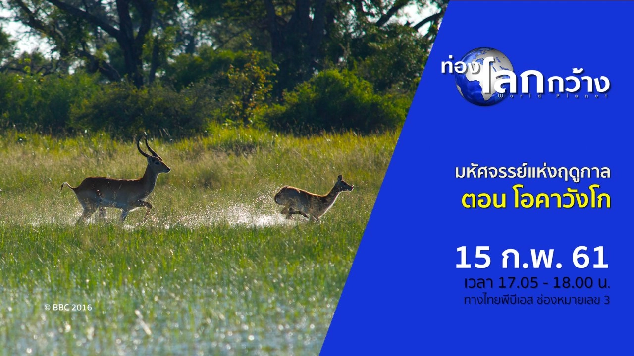 มหัศจรรย์แห่งฤดูกาล ตอน โอคาวังโก