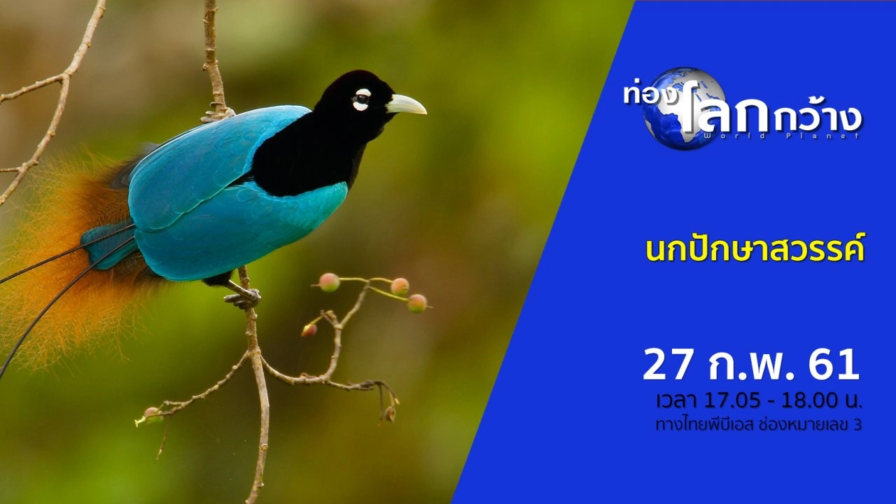 นกปักษาสวรรค์