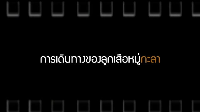 การเดินทางของลูกเสือหมู่กะลา