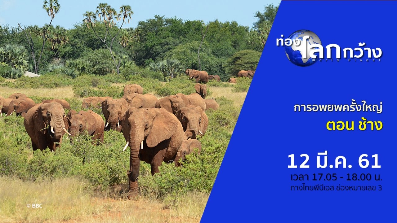 การอพยพครั้งใหญ่ ตอน ช้าง