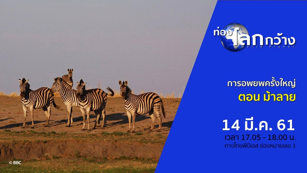 การอพยพครั้งใหญ่ ตอน ม้าลาย