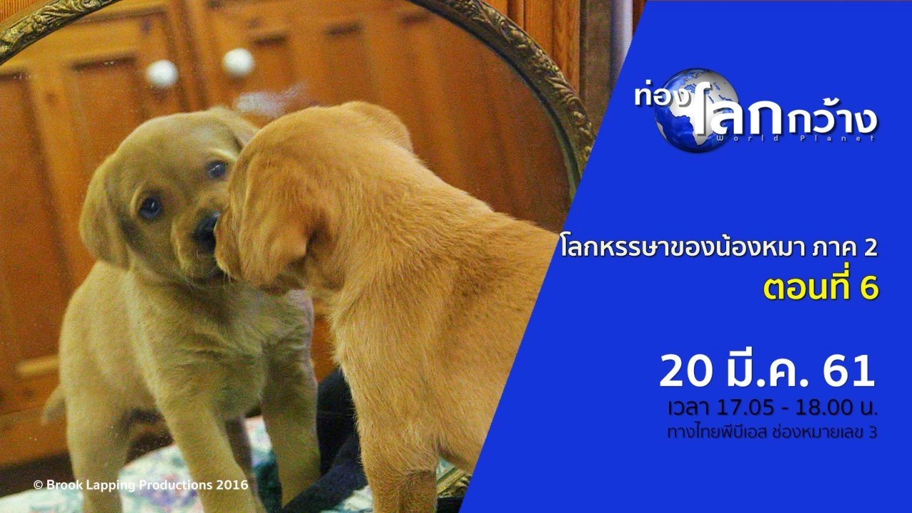 โลกหรรษาของน้องหมา ภาค 2 ตอนที่ 6