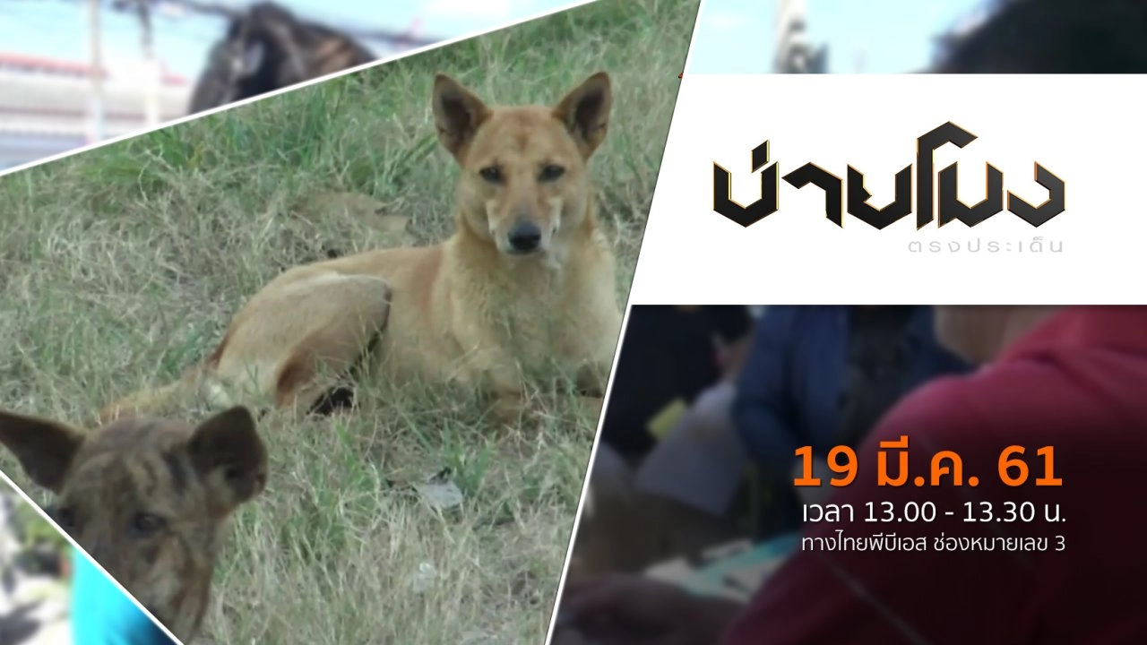 ประเด็นข่าว ( 19 มี.ค. 61)