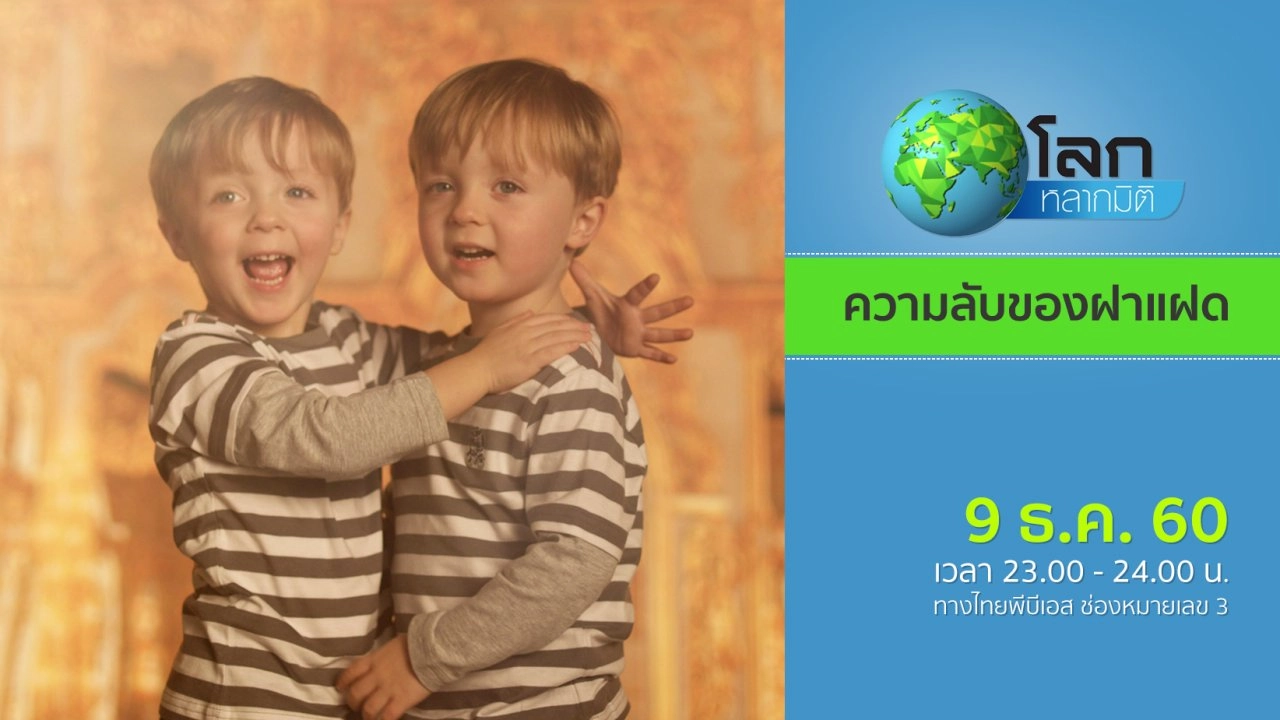 ความลับของฝาแฝด