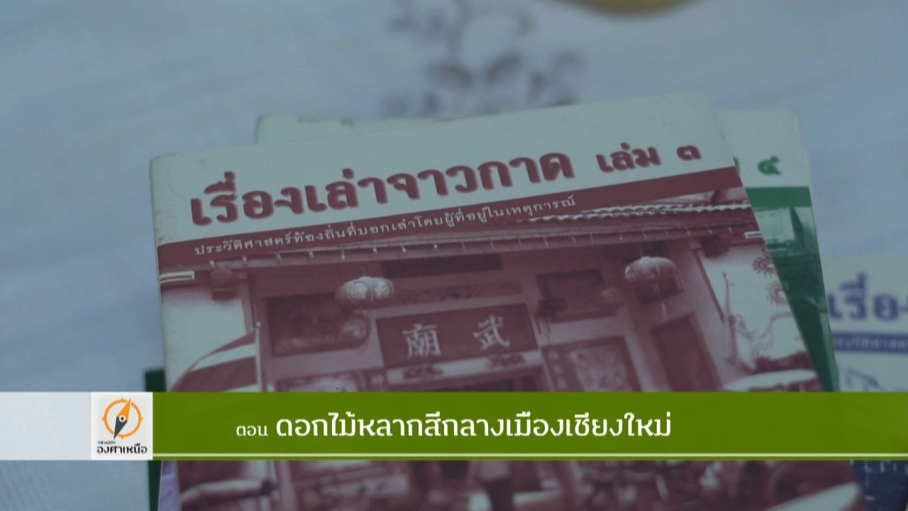 ดอกไม้หลากสีกลางเมืองเชียงใหม่