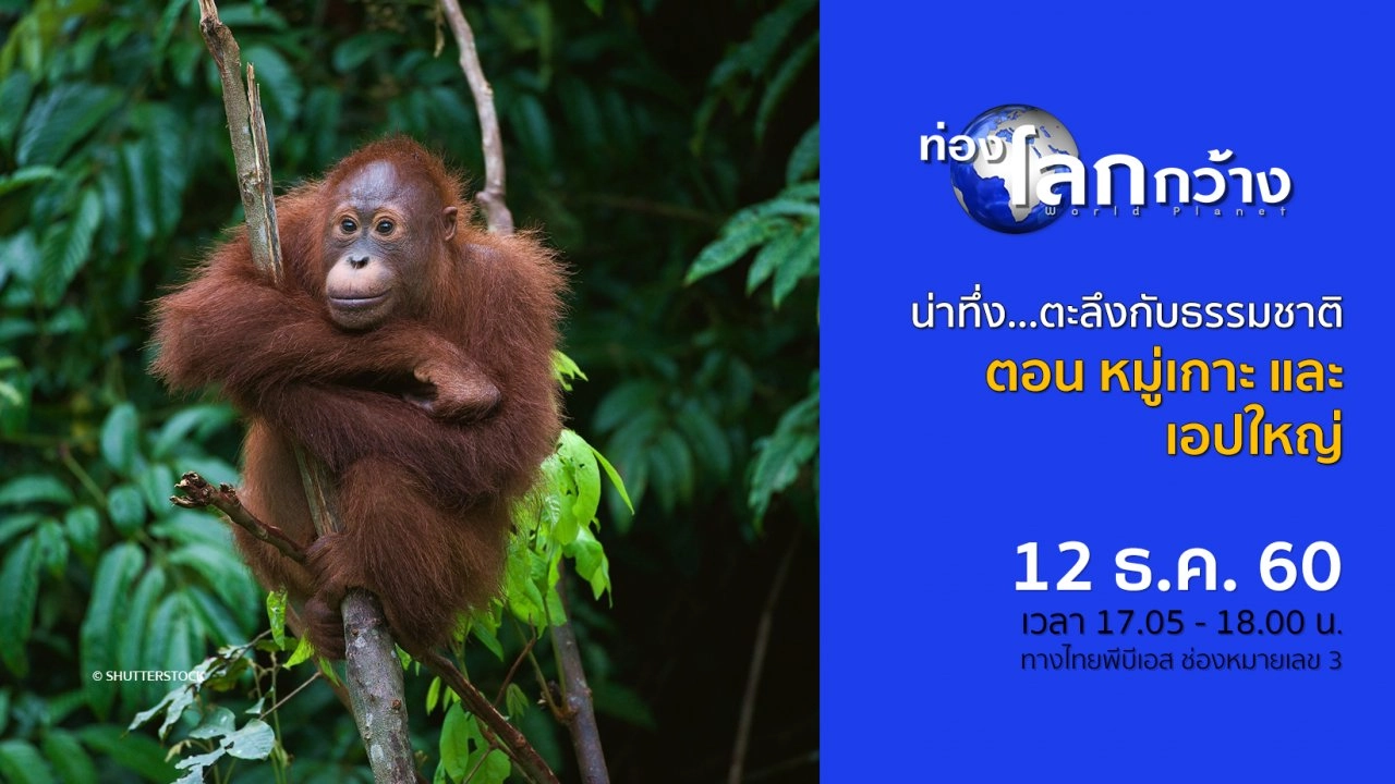 น่าทึ่ง...ตะลึงกับธรรมชาติ ตอน หมู่เกาะ และเอปใหญ่