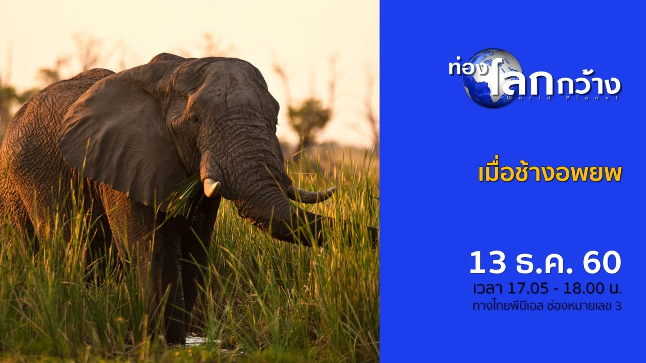 เมื่อช้างอพยพ